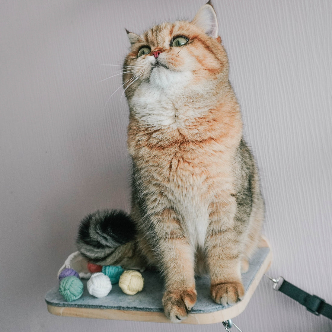 Unsere eleganten Katzenmöbel für das perfekte Zuhause deiner Samtpfoten
