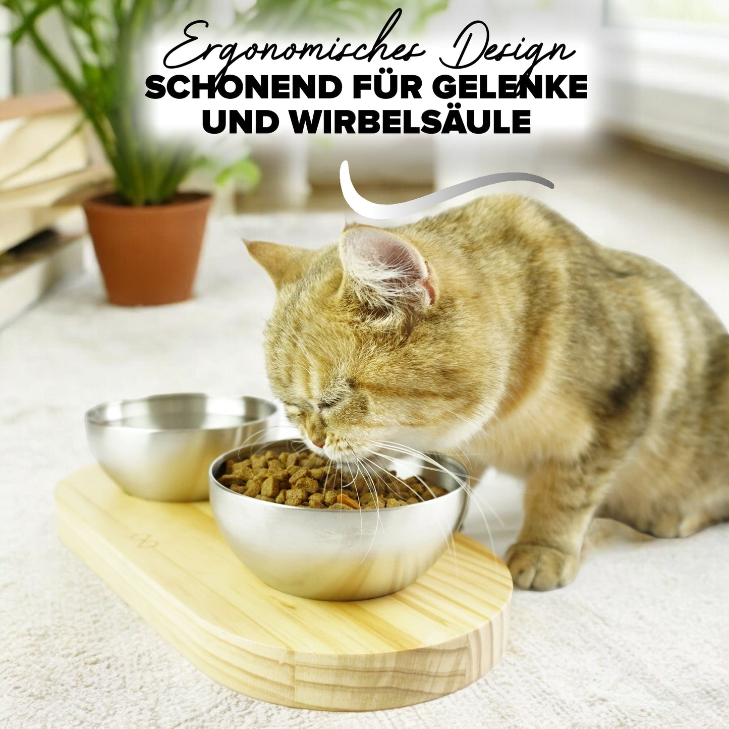 Katzennäpfe die eine ergonomische Höhe haben und rutschfest sind