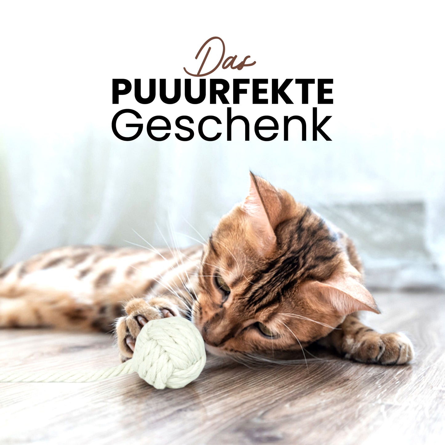 Perfektes Geschenk für Katzenliebhaber und Katzenbesitzer