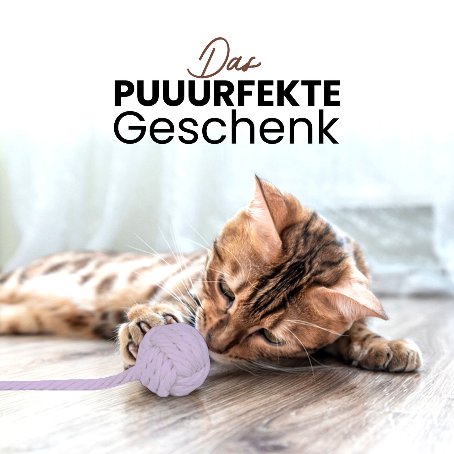 Katzenangel als das perfekte Geschenk für Katzenbesitzer