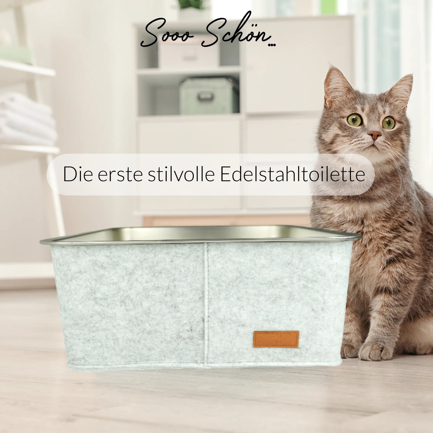 Hygienische graue Katzentoilette mit antibakterieller Edelstahlwanne