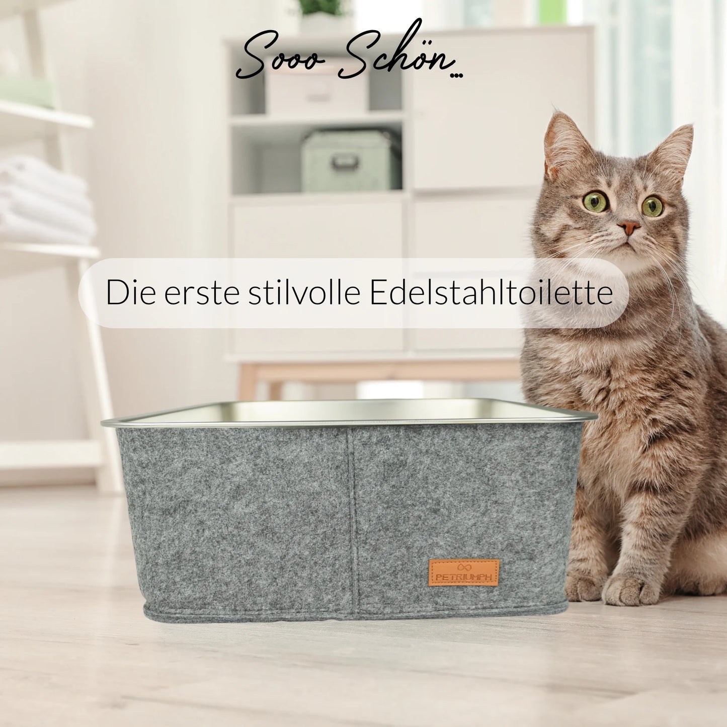 Antibakterielle Edelstahl-Katzentoilette – hygienisch und langlebig