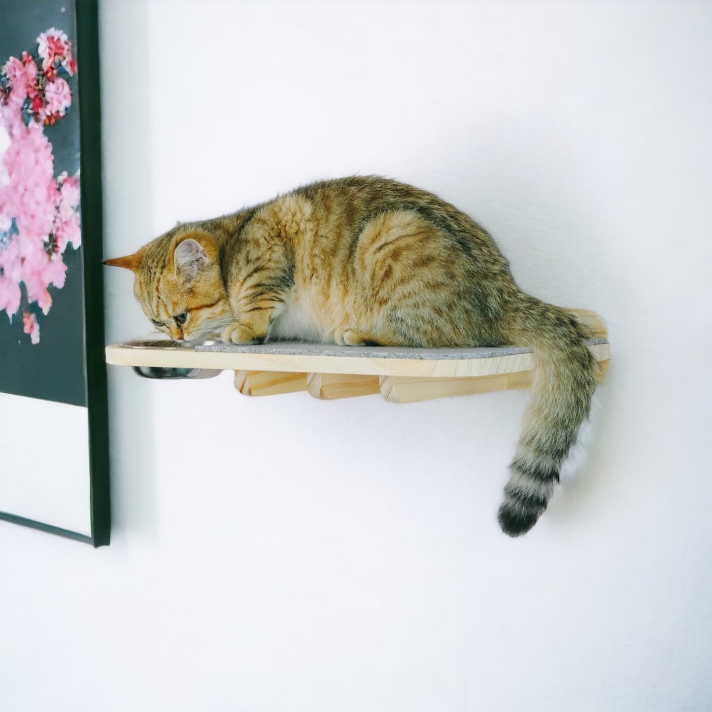 Katze liegt entspannt auf der Katzenkletterwand Luna – Perfekter Rückzugsort und Spielplatz in einem