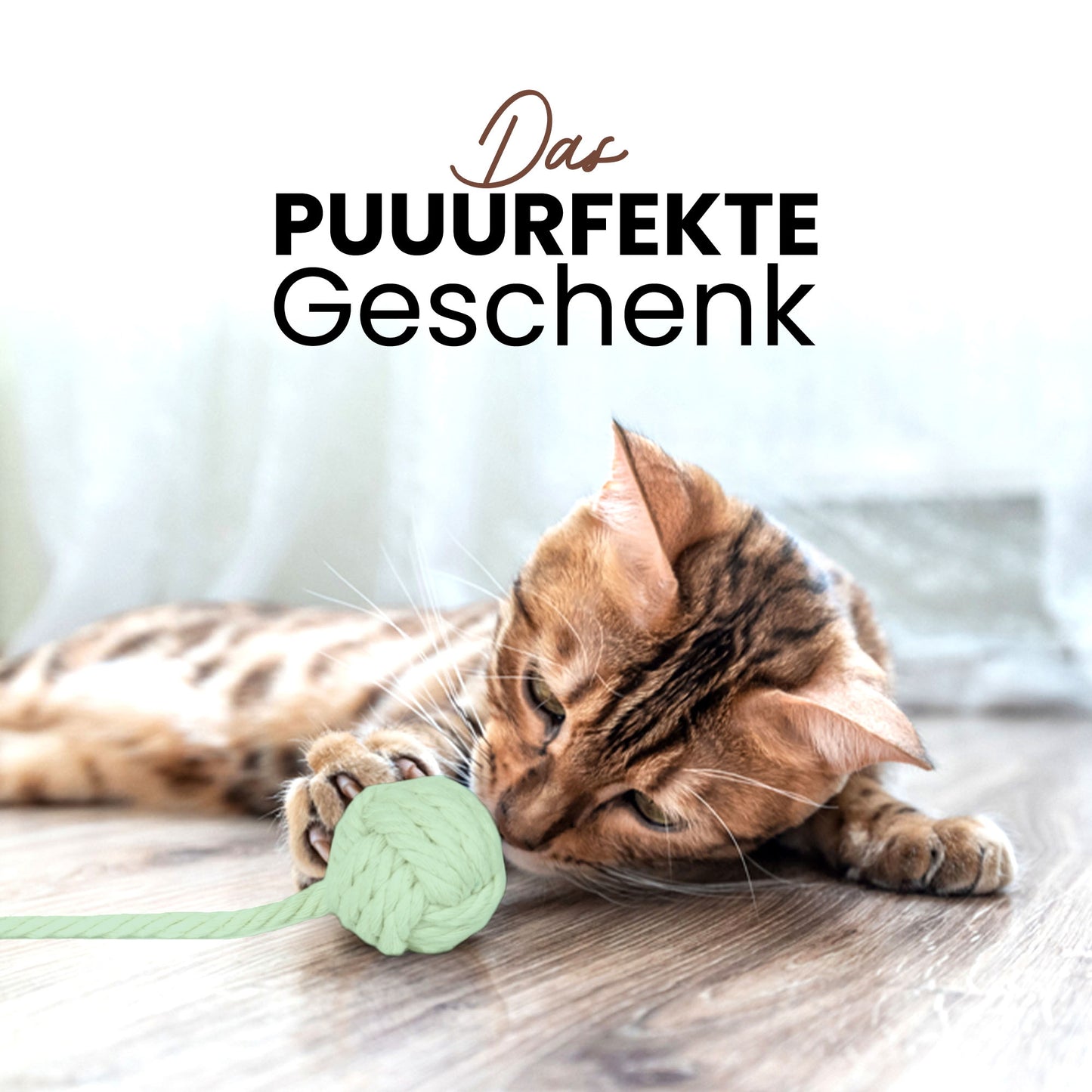 Katzenangel mit abnehmbarem Köder für individuellen Spielspaß mit vielen Farben