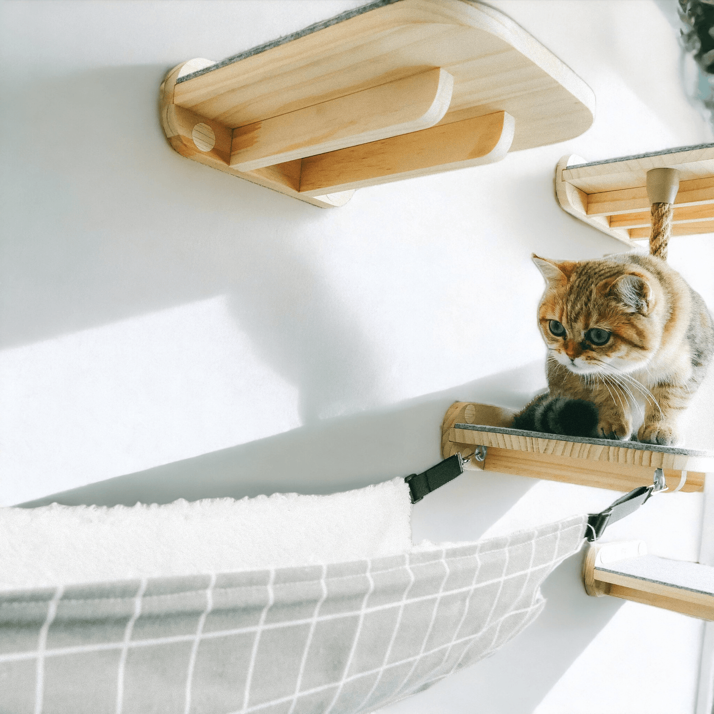 erschiedene Module der Katzenkletterwand Luna – Wandkletterwand und Spielplatz für Katzen