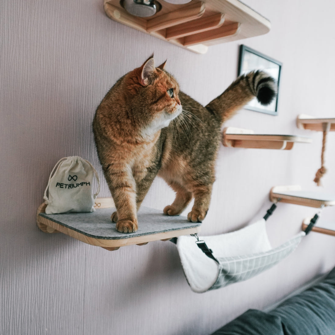 Katzen Kletterwand Luna und Kletterstufen Lilli im Katzen Wandpark: Ein einzigartiges Abenteuerland für deine geliebten Vierbeiner, das Spielspaß, Gesundheit und Geborgenheit vereint