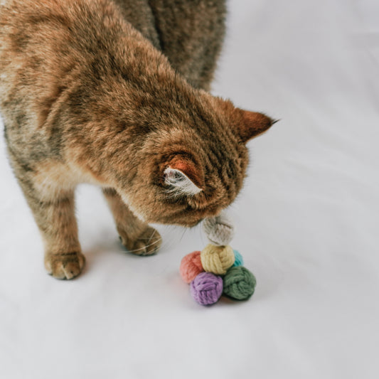 Katzenfreude pur: Die Magie unserer Makramee Bälle als perfektes Katzenspielzeug